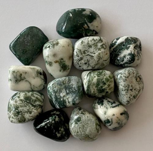 Puuakaatti / Tree Agate / Agate de bois L