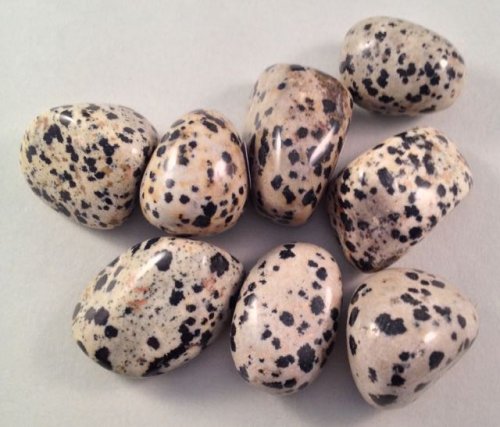 Jaspis Dalmatialainen / Dalmatian Jasper / Jaspe dalmatien M